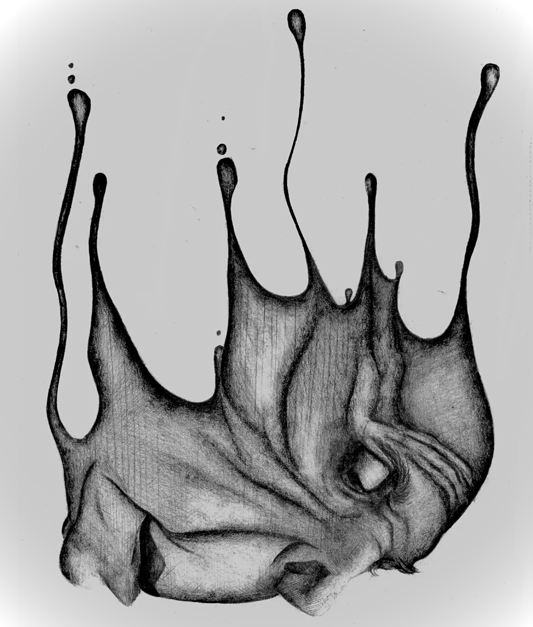 A Drop of Wisdom - Print